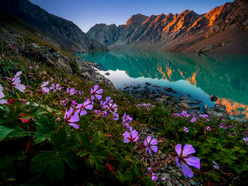 محیط زیست دریاچه کاراکول تاجیکستان