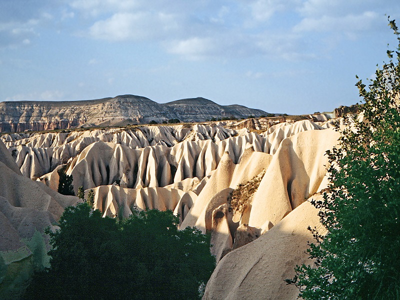 تاریخچه پارک ملی گورمه