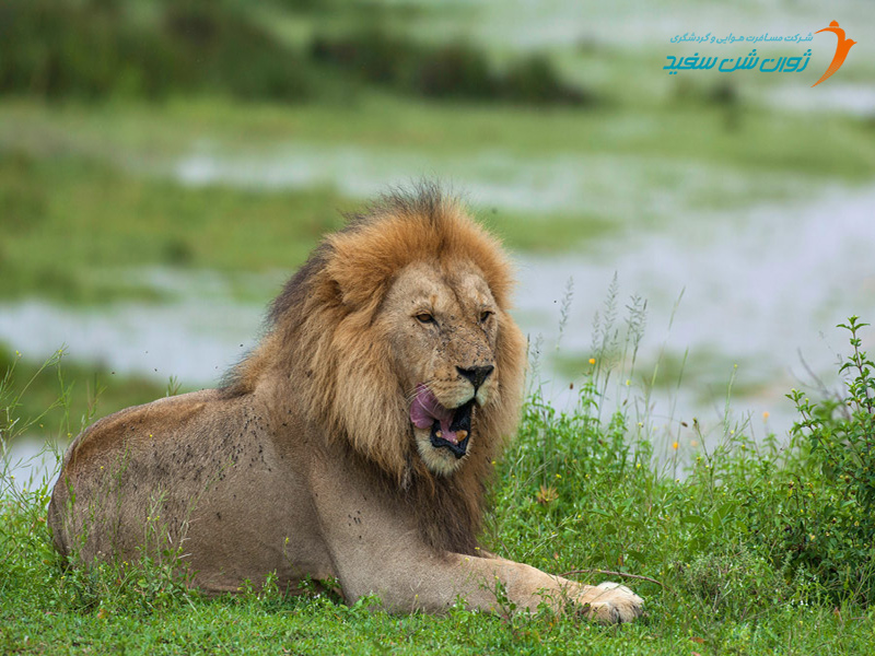 پارک ملی تارانگیره تانزانیا