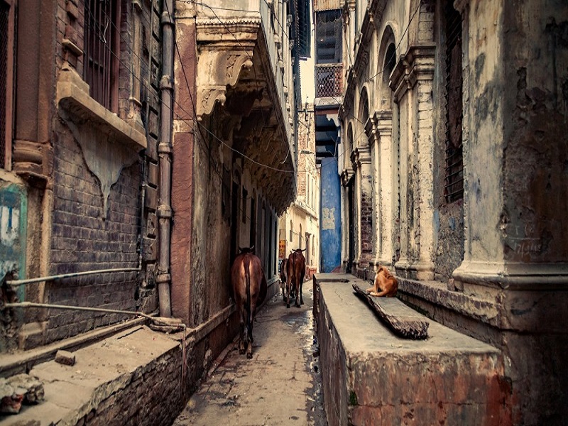معماری شهر قدس بنارس هند