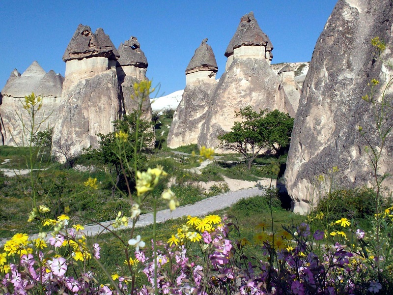 تاریخچه پارک ملی گورمه