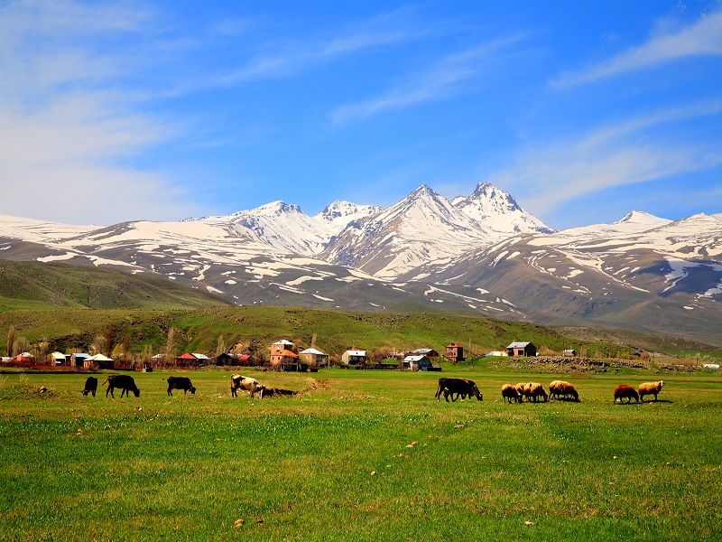 کوه آراگاتس ارمنستان